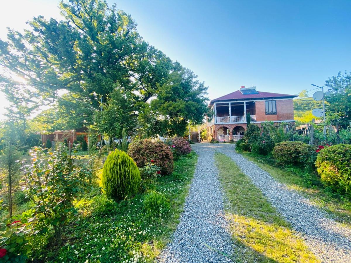 Guesthouse Kamelia Мартвили Екстериор снимка