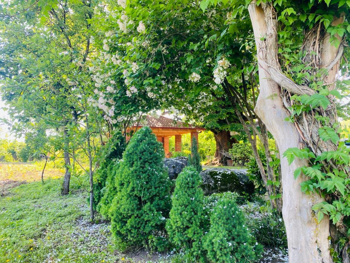 Guesthouse Kamelia Мартвили Екстериор снимка
