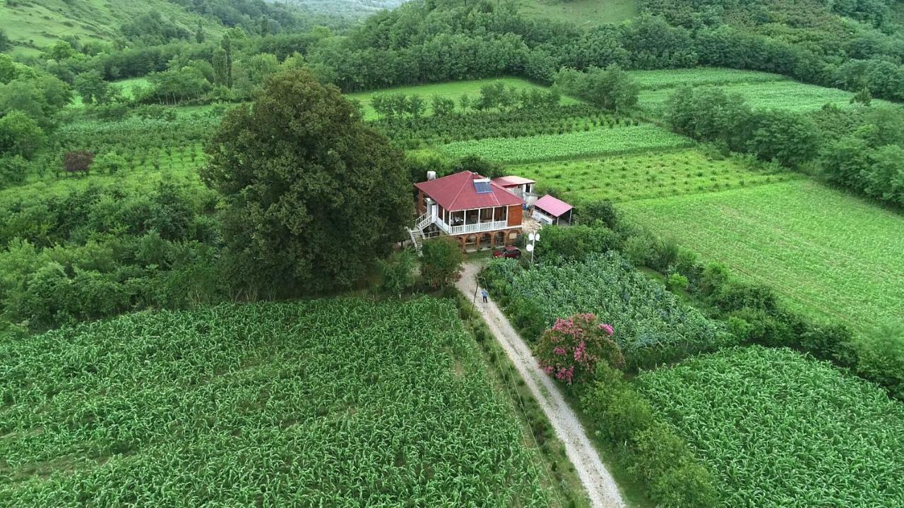 Guesthouse Kamelia Мартвили Екстериор снимка