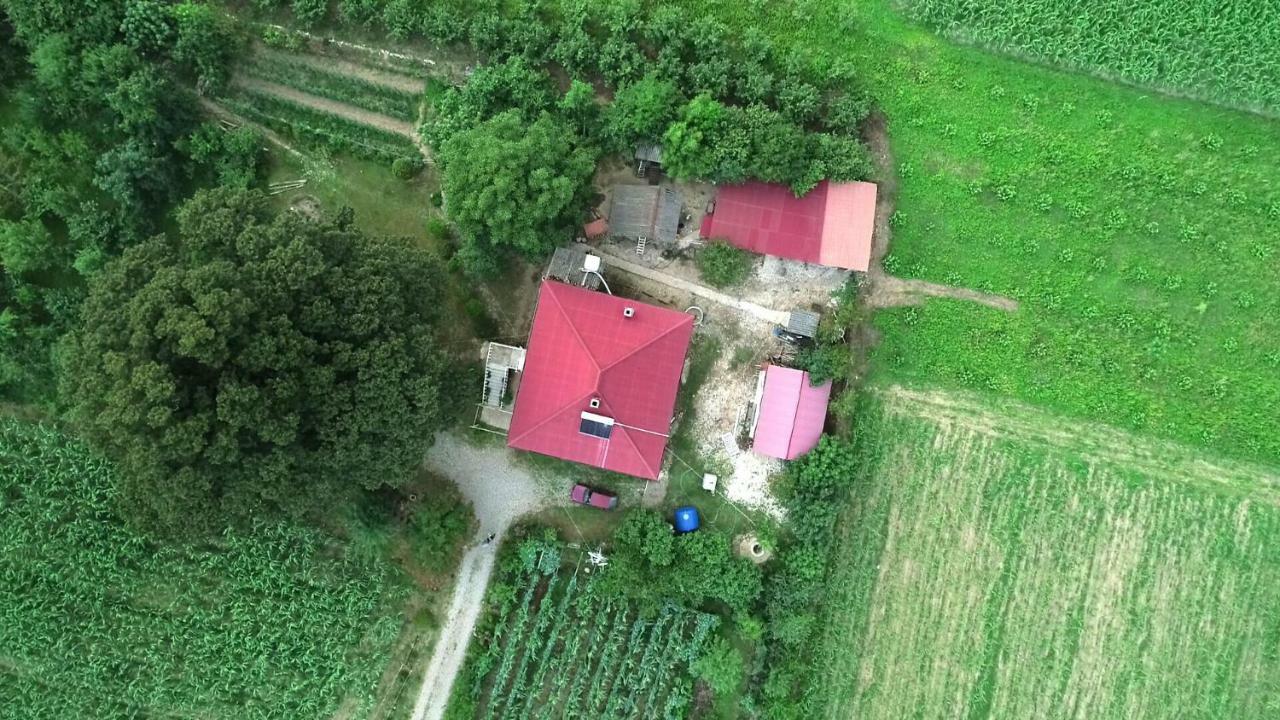 Guesthouse Kamelia Мартвили Екстериор снимка