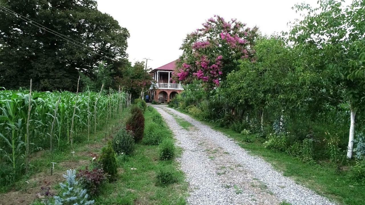 Guesthouse Kamelia Мартвили Екстериор снимка