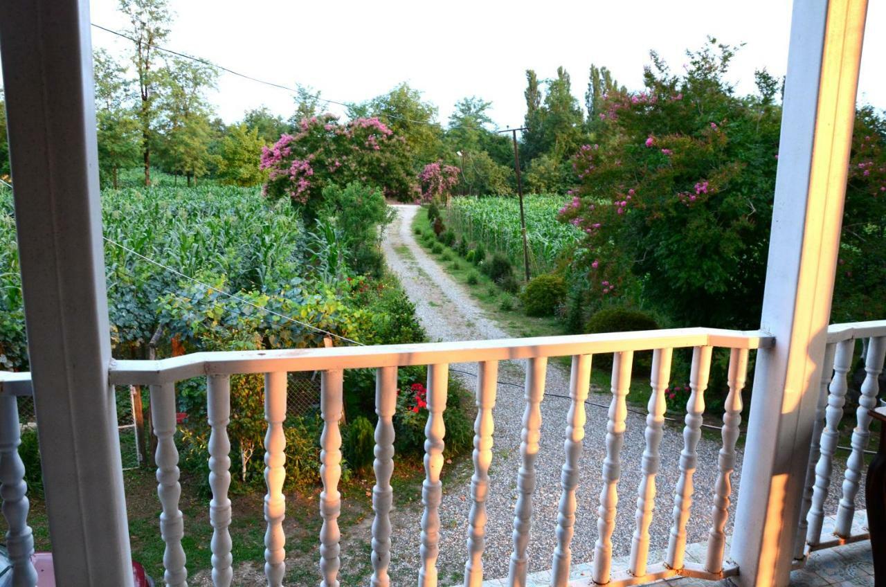 Guesthouse Kamelia Мартвили Екстериор снимка