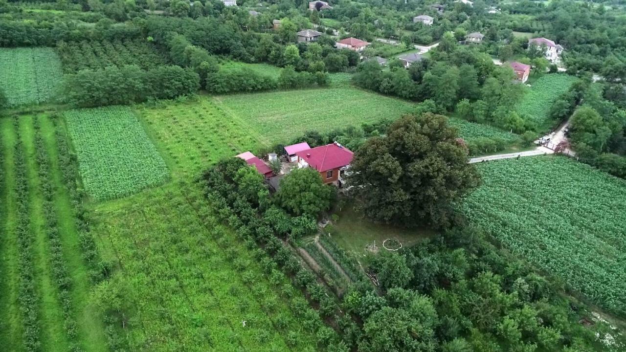 Guesthouse Kamelia Мартвили Екстериор снимка